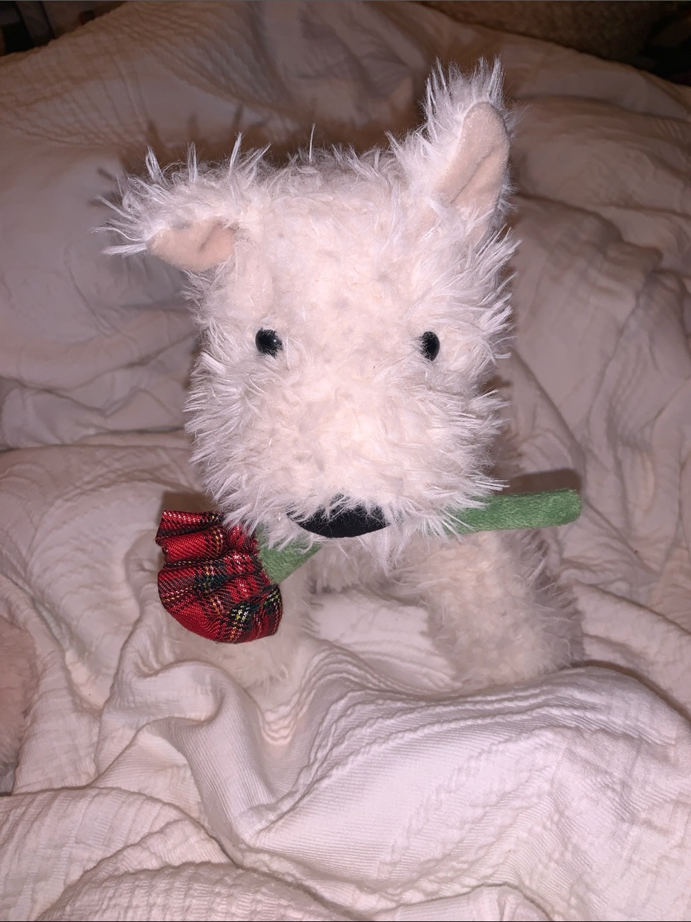Jellycat Munro Scottie Dog special edition holding a tartan rose